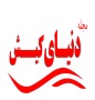 دنیای کیش